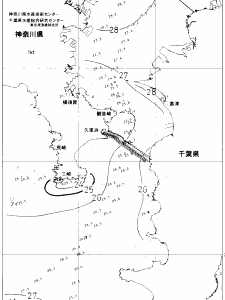 東京湾口海況図(2019/08/05)