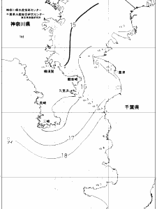 東京湾口海況図(2019/12/07)
