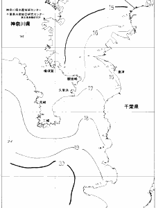 東京湾口海況図(2019/12/12)