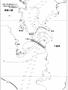 東京湾口海況図(2020/01/01)