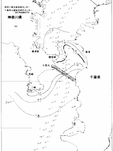 東京湾口海況図(2020/01/12)
