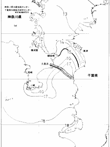 東京湾口海況図(2020/01/16)