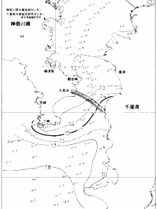 東京湾口海況図(2020/02/02)