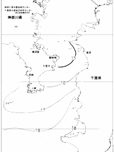 東京湾口海況図(2020/04/19)