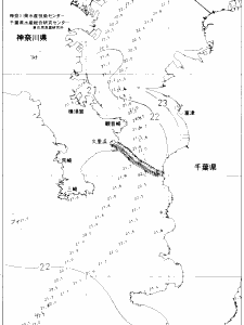 東京湾口海況図(2020/07/07)