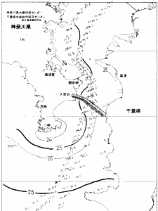 東京湾口海況図(2020/08/08)