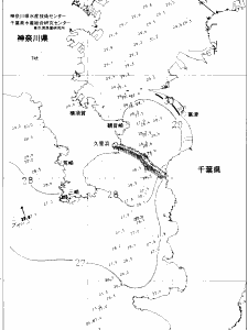 東京湾口海況図(2020/08/18)