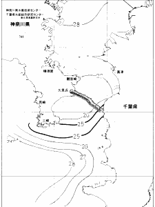 東京湾口海況図(2020/08/20)