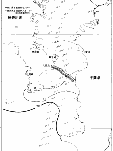 東京湾口海況図(2020/10/03)