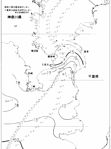 東京湾口海況図(2021/01/01)