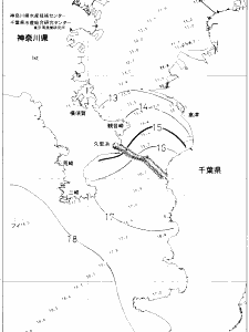 東京湾口海況図(2021/01/15)