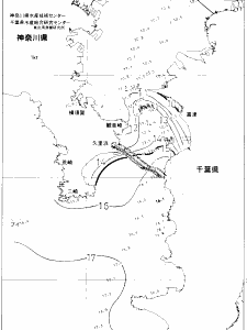 東京湾口海況図(2021/01/22)