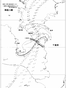 東京湾口海況図(2021/02/10)