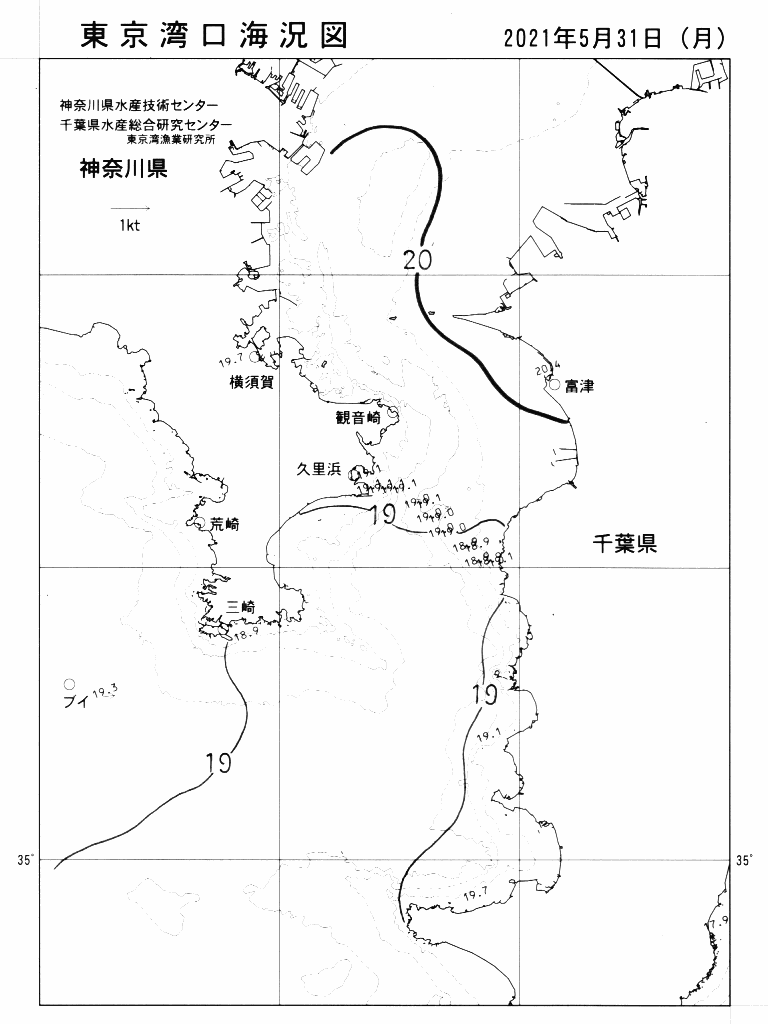 海況図, 東京湾口海況図 検索結果, (水温分布 等を図示)