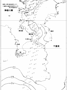 東京湾口海況図(2021/06/11)