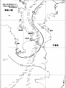 東京湾口海況図(2021/08/19)