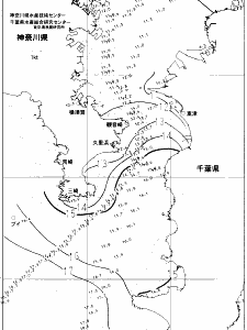 東京湾口海況図(2022/01/08)