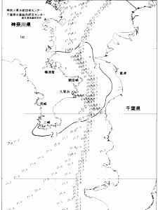 東京湾口海況図(2022/06/06)
