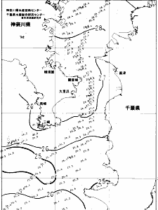 東京湾口海況図(2022/08/05)