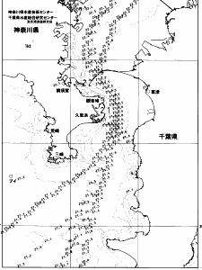 東京湾口海況図(2023/06/12)